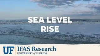 UF/IFAS Research | Sea Level Rise