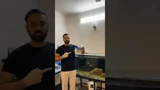 Testing my 5-feet monster tank&rsquo;s water parameters using API freshwater master test kit