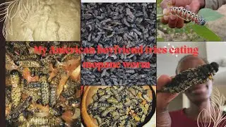 How to prepare mopane worm 🐛 | They love them.