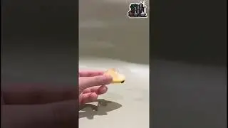 🍋🔥 Lemon Heat Experiment!|تجربة الليمون تحت الحرارة