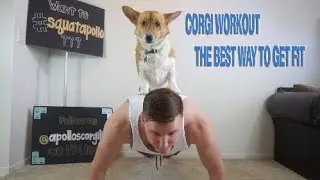 How to Workout With Your Dog