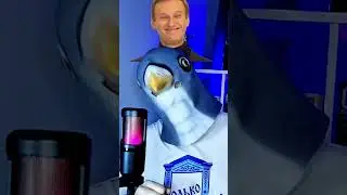 Дарью Навальную взяли в Йель