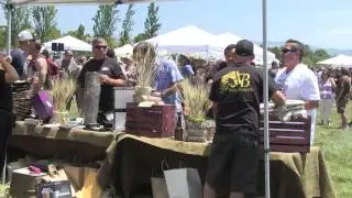 Brewfest 2012