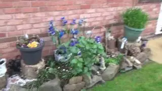 A Colourful Walk - 21st April 2017
