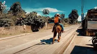 Polar Pro Best For Gopro Hero 9: Walking Horse Cinematic