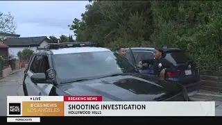 Hollywood Hills shooting leaves one dead