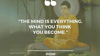 Powerful buddha quotes that can teach you beautiful Life lessons|Life changing buddha quotes|quotes