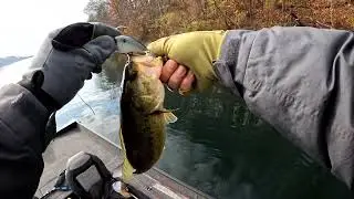Late fall bass fishing on Veteran's Day!