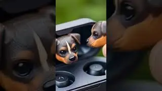 dog earbuds wireless #facts #viralvideo #video #short