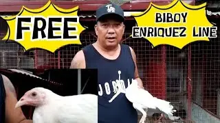 MECHANICS PARA SA ATING FREE RAFFLE | PAMASKONG HANDOG | BIBOY ENRIQUEZ LINE #breeding #freeraffle