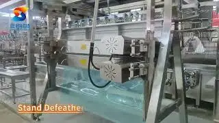 Compact chicken feet production line, big energy in a small space！
