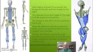 KIN214 Fascia Lines