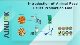 2022 Animal Feed Pellet Machine Production Line Introduction and Test Video