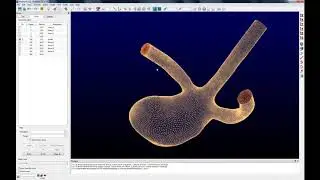 Structured Grid for an Aneurysm AZTPfd00Oog