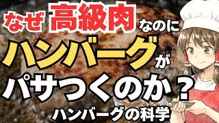 【ゆっくり解説】なぜ高級肉を使ったのにハンバーグがパサつくのか？肉汁が逃げる意外なメカニズム！ハンバーグの科学