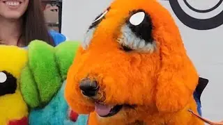 Dog grooming contest, Las Vegas LIVE NOW! SuperZoo convention, Mandalay Bay