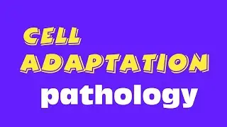 #cell adaptation #pathology #easy tips easy language #nursing Paramedical pharmacy and other med...