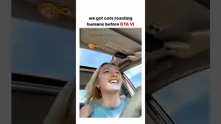 We got cats roasting humans from GTA6 #funny #catlovers #cat #catshorts #pets #catvideos