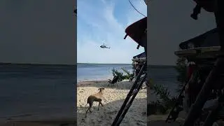 Had an unexpected fly by while camping on the beach!