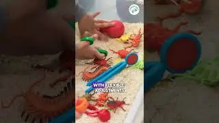 Sensory-Friendly Routines Support Autistic Children #parentingtips #education #autism #shorts