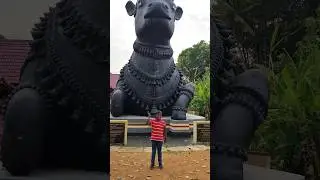ഏറ്റവും വലിയ നന്ദി 😊 #kids #travel #malayalam #information #youtube #shorts #viral #trending #yt