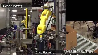 Fully Automated Case Packing System for Bottles