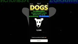 РАЗДАЮТ ДЕНЬГИ???              #dogs #telegram #reels #money #free #crypto #крипта #собаки