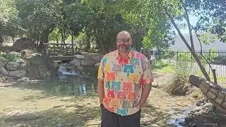 Hardaddy Men's Hawaiian Shirt Short Sleeve