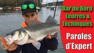 PÊCHE DU BAR DU BORD  : Quel leurre et Quels techniques pour bien pêcher