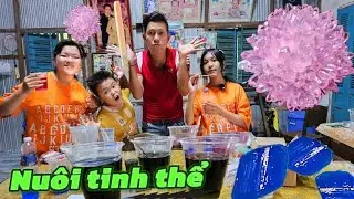 Bắp TV | Cậu út lần đầu nuôi tinh thể và cái kết