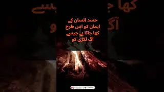 Sunehre Alfaz - سنہرے الفاظ || Urdu Quote || Urdu Golden Words || #shorts  #sunehrealfaz