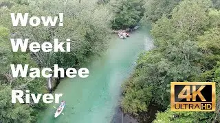 Wow! Weeki Wachee River Aerial Footage, 4K