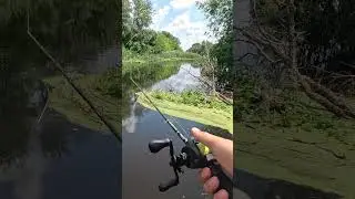 Лайфхак для ловли щуки в траве/коряжнике. #рыбалка #fishing