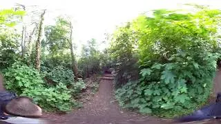 PiSoftTech Pilot Era stabilization sample