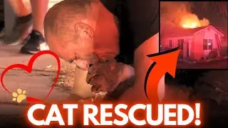Чудо-кот спасён из пылающего дома! Воссоединился с хозяином 😻