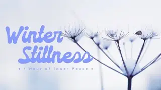 Finding Peace: 1 Hour of Nature&rsquo;s Resilience | Raise It Yourself &mdash; Ambient Music