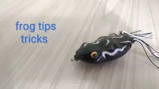 fishing frog konsa best hai🦈18gram frog ya 13gram 🐸 tips and tricks 🎣