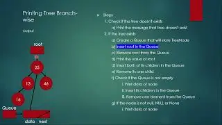 Print Binary Tree