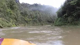 BRIDGE TO NOWHERE JETBOATING