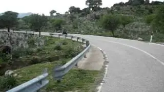 Near miss ;o) close call cow vs motorbike cb 1000 r predator