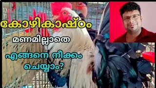 കോഴി കാഷ്ഠം മണമില്ലാതെ എങ്ങനെ നീക്കം ചെയ്യാം??How to remove Poultry waste without any bad smell??