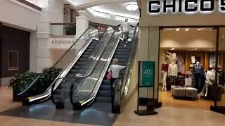 THE GALLERIA AT FORT LAUDERDALE 2019 (INFORMATION)