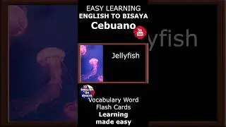 English to Bisaya | Cebuano Lessons | 15 Common Words Lesson 51 | #bisaya #english #cebu