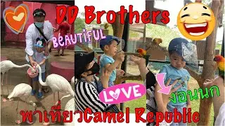 DD Brothersพาเที่ยวCamel Republic | สวนอูฐ ชะอำ | Feeding animals | Kids falling in love with animal
