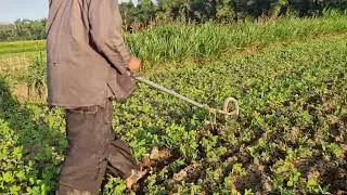 Transform Your Soil Work with This One-Wheel Hoe Trick! - Agriculture Farming