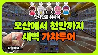 오산에서 천안까지 새벽 가챠투어 다니기! | 단다단 키링 | 천얀가챠