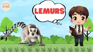 Lemurs Facts For Kids 😄 Learn All About Lemurs | MON Kids