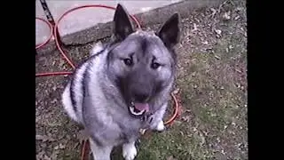 Willy around 2000