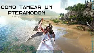 Como tamear un Pteranodon de manera f&aacute;cil y r&aacute;pida En Ark: Survival Evolved