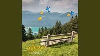 Silent Admiration